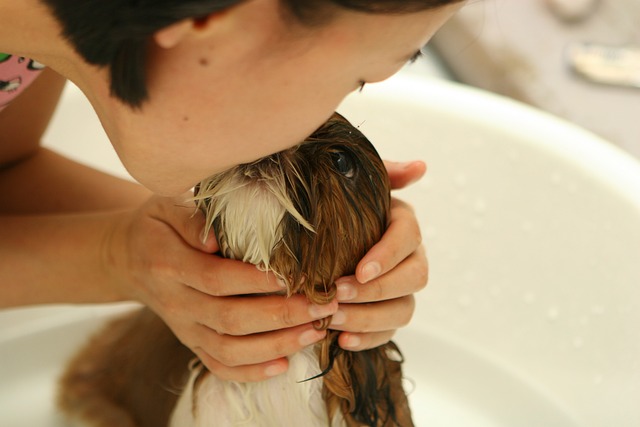 How to Make Bath Time Fun and Easy for Your Puppy